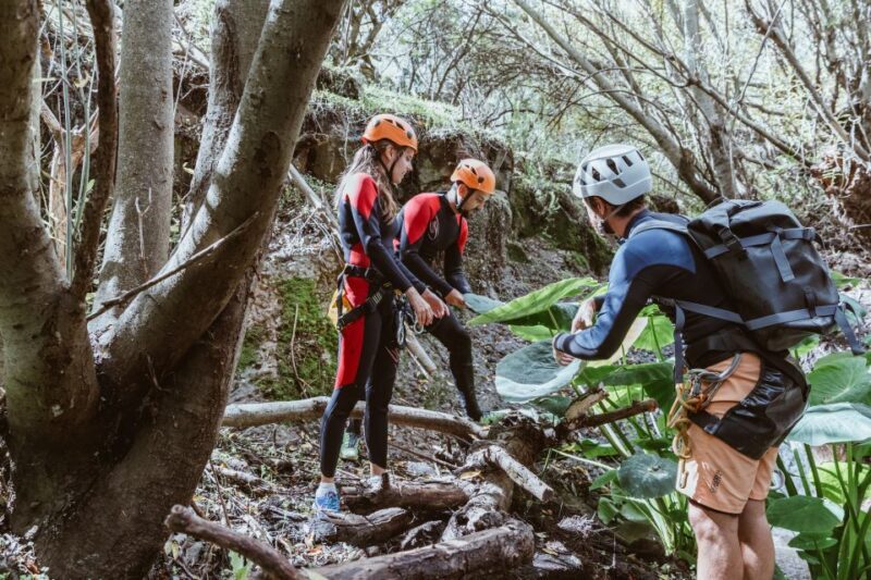 Gran Canaria: Canyoning in the Rainforest - The Experience from the Reviewers’ Perspective