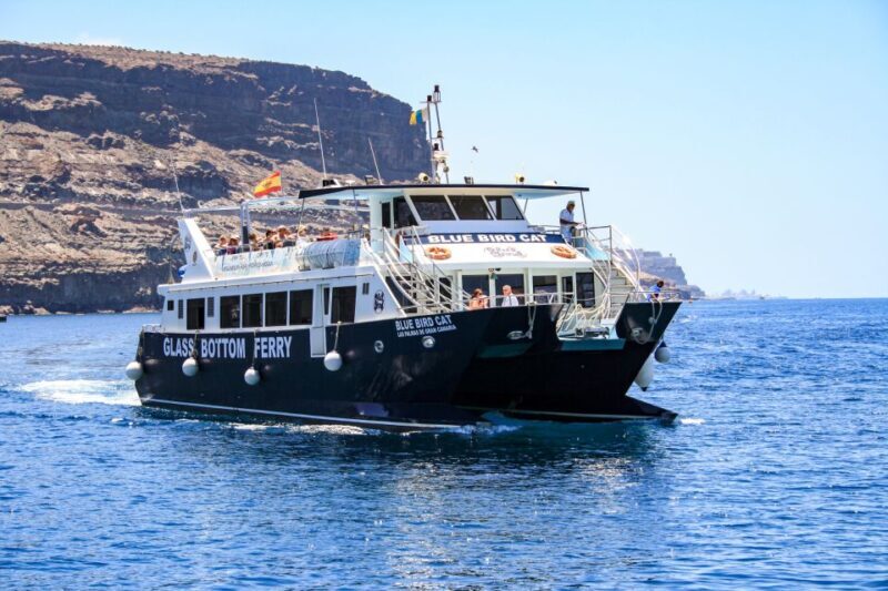 Gran Canaria: Catamaran Dolphin Watch Cruise with Snorkeling - An In-Depth Look at the Experience