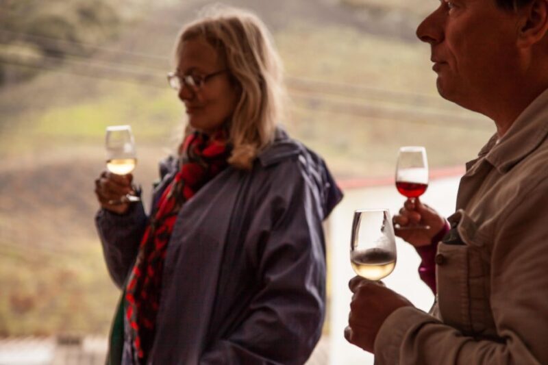 Gran Canaria: Customizable Private Tour - Value and Cost Analysis