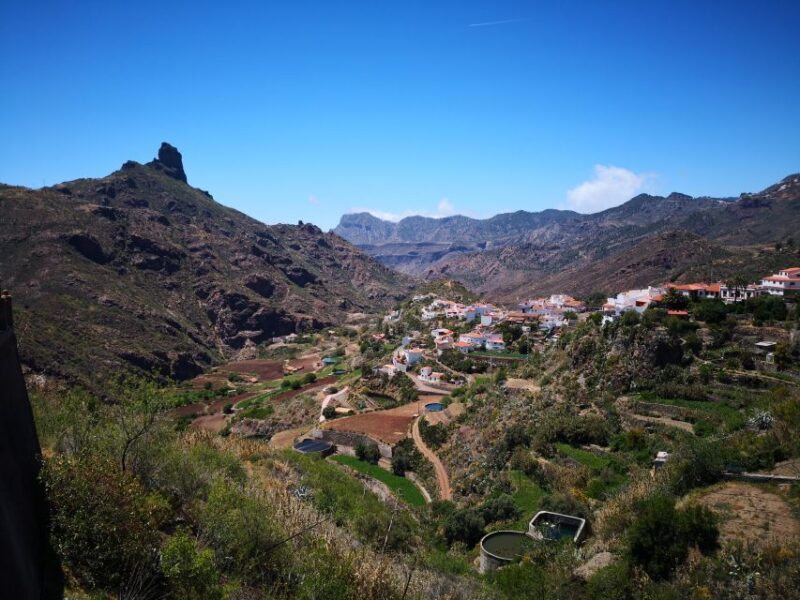 Gran Canaria: Customizable Private Tour - The Sum Up