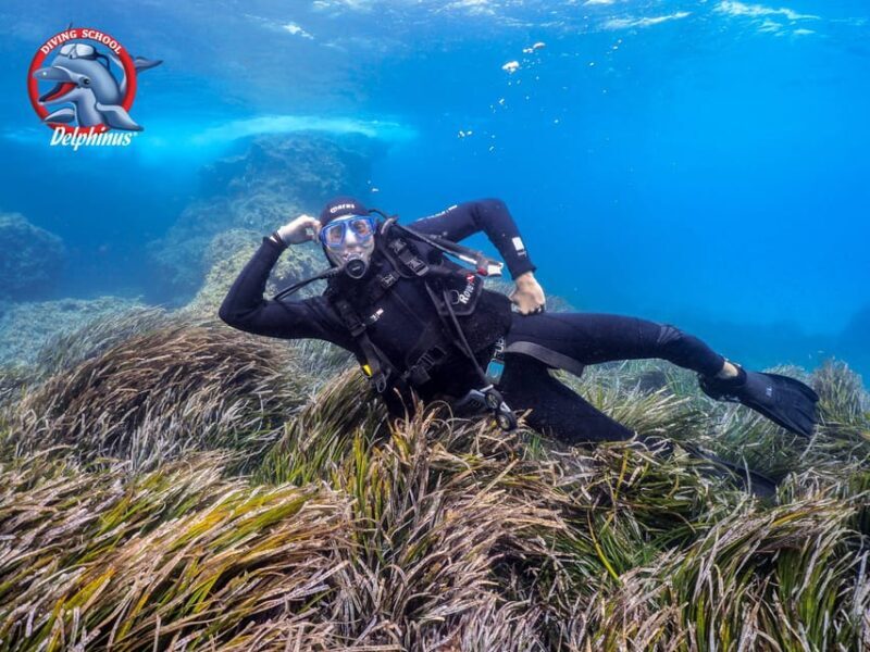 Gran Canaria: Discover Scuba Diving Beginner Program - Key Points