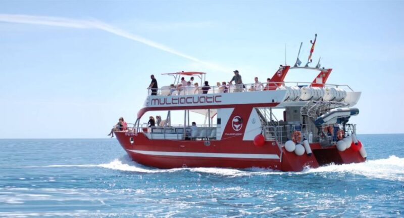 Gran Canaria: Dolphin and Whale Watching Cruise - Who Will Love This Tour?