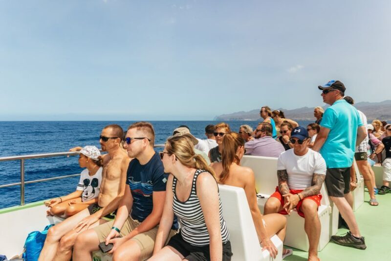 Gran Canaria: Dolphin and Whale Watching Cruise - The Sum Up