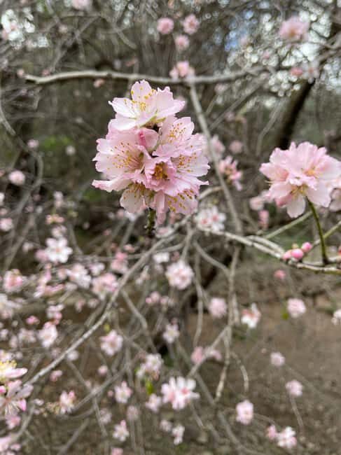 Gran Canaria: excursion to the Barranco de los Cernícalos - Final Thoughts