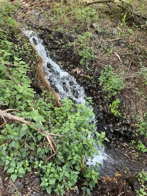 Gran Canaria: excursion to the Barranco de los Cernícalos - FAQ
