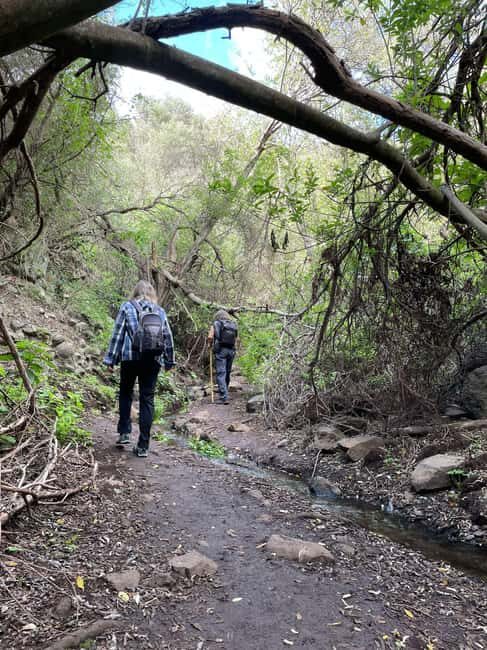 Gran Canaria: excursion to the Barranco de los Cernícalos - The Magic of the Barranco de los Cernícalos