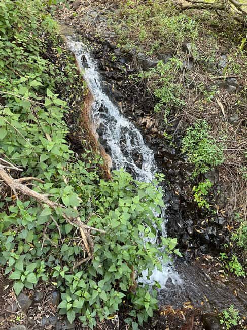 Gran Canaria: excursion to the Barranco de los Cernícalos - Cultural and Village Exploration