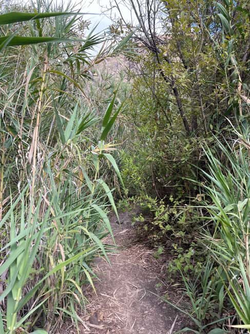 Gran Canaria: excursion to the Barranco de los Cernícalos - Duration and Timing