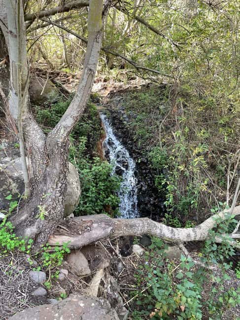 Gran Canaria: excursion to the Barranco de los Cernícalos - Accessibility and Suitability