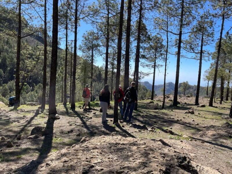 Gran Canaria: excursion to the Ventana del Nublo - Key Points