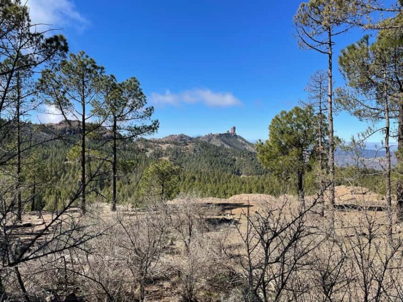 Gran Canaria: excursion to the Ventana del Nublo - A Detailed Look at the Experience