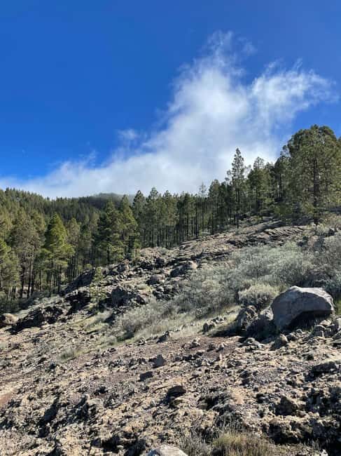Gran Canaria: excursion to the Ventana del Nublo - Who Would Enjoy This Tour?