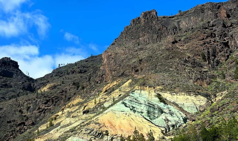 Gran Canaria: Full Coast Tour with Local Guide - What Reviewers Say About the Experience