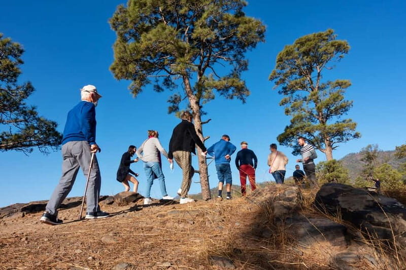 Gran Canaria: Full Coast Tour with Local Guide - Frequently Asked Questions