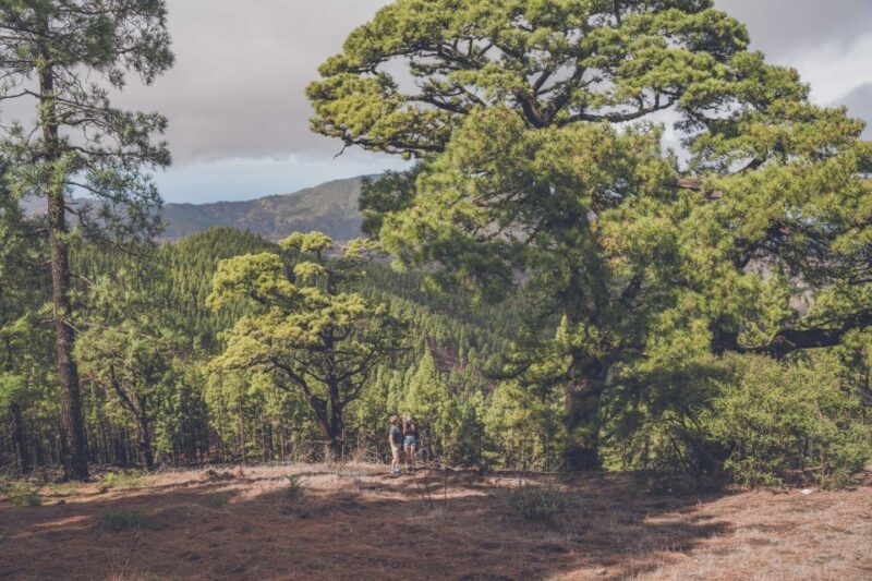 Gran Canaria: Full-Day Customizable Private Photography Tour - Final Thoughts