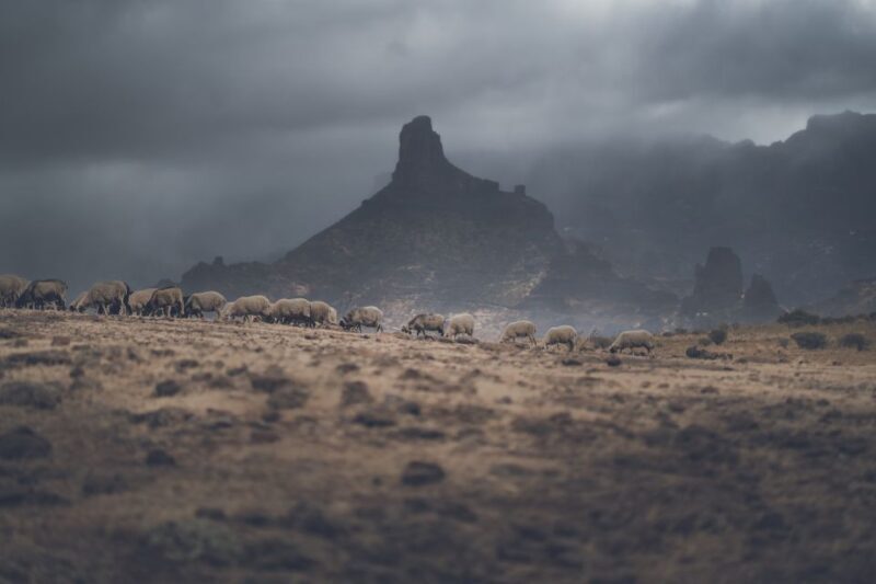 Gran Canaria: Full-Day Customizable Private Photography Tour - Frequently Asked Questions