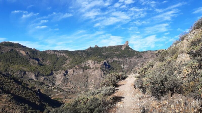 Gran Canaria: Full-Day Guided Hiking With Snacks - An In-Depth Look at the Tour Experience