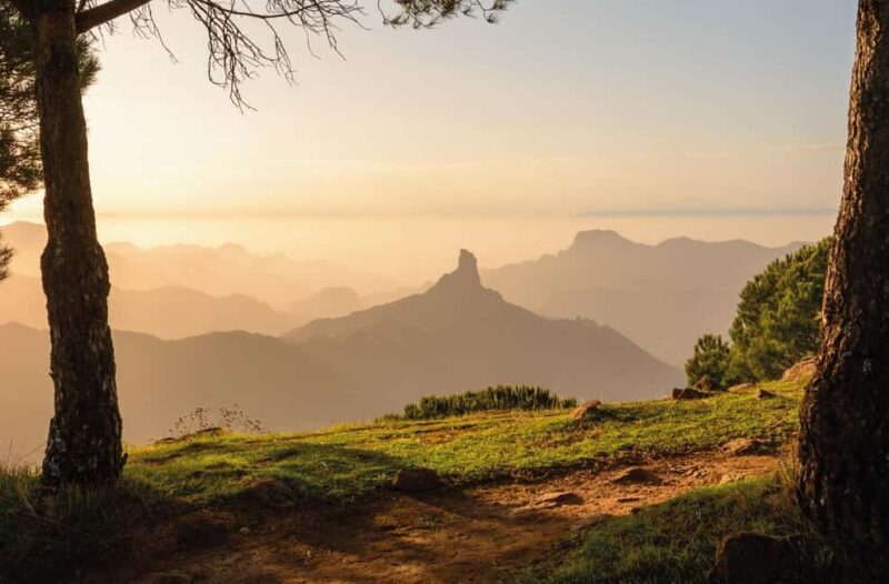 Gran Canaria Gran Tour - Exploring Gran Canaria in 8 Hours: What to Expect