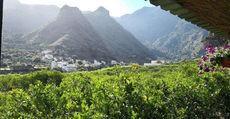 Gran Canaria: Grand Island Tour by Bus with Transfers - An In-Depth Look at the Gran Canaria Full-Day Tour