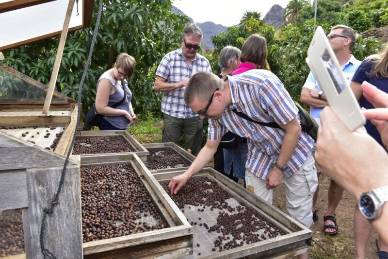 Gran Canaria: Grand Island Tour by Bus with Transfers - Things to Consider