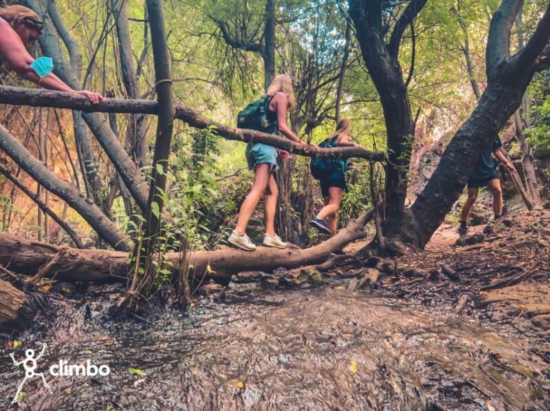 Gran Canaria: Guided Day Tour to Rainforest with Tasting - Practical Details & Transportation