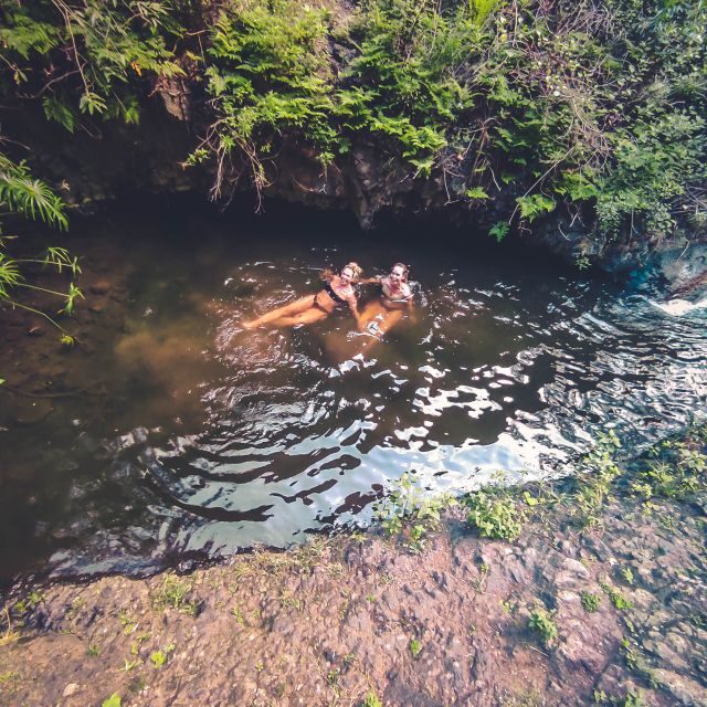 Gran Canaria: Guided Day Tour to Rainforest with Tasting - FAQs