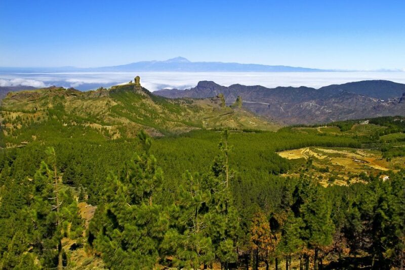 Gran Canaria Highlights Full-Day Tour by Bus - A Deep Dive Into the Tour Itinerary