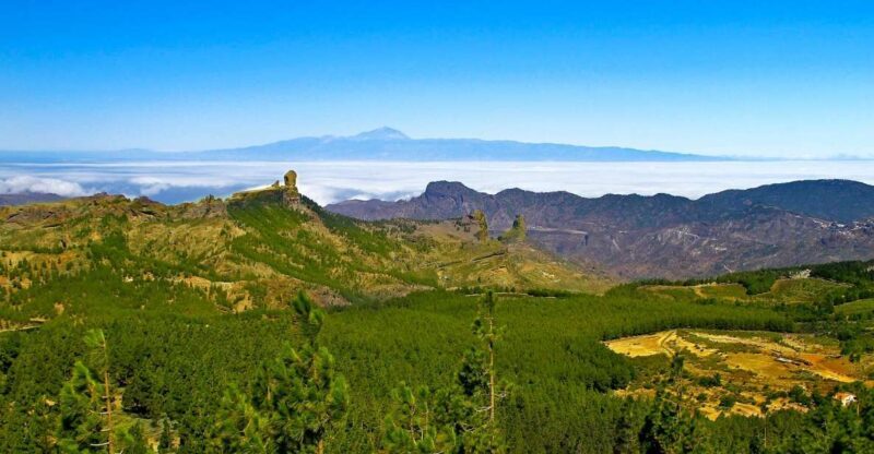 Gran Canaria Highlights Full-Day Tour by Bus - Who Should Consider This Tour?