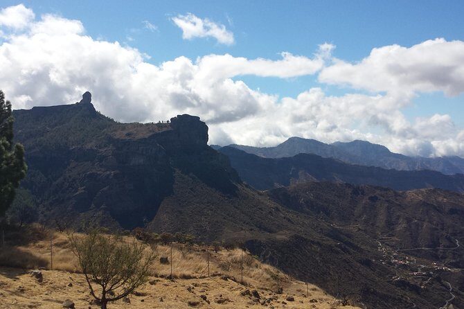Gran Canaria highlights & hidden gems by 2 native guides - Who Should Book This Tour?