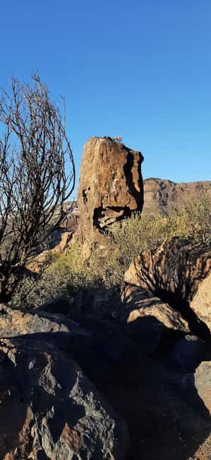 Gran Canaria: Highlights & hidden gems with Sky Rebels - Authentic Experiences and Unique Insights