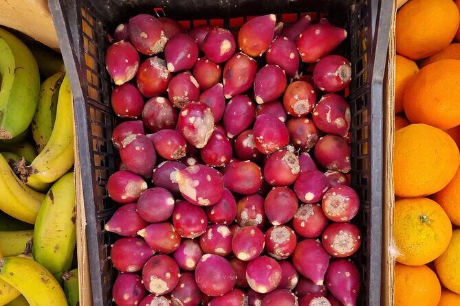 Gran Canaria Highlights Private Tour VIP - Local Tastings and Lunch: A Feast of Flavors