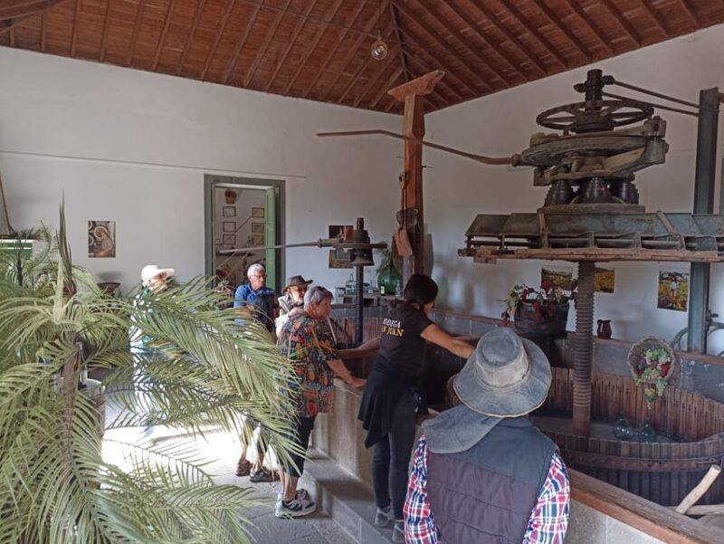 Gran Canaria: Highlights Wine Tasting Tour & shore excursion - Key Points