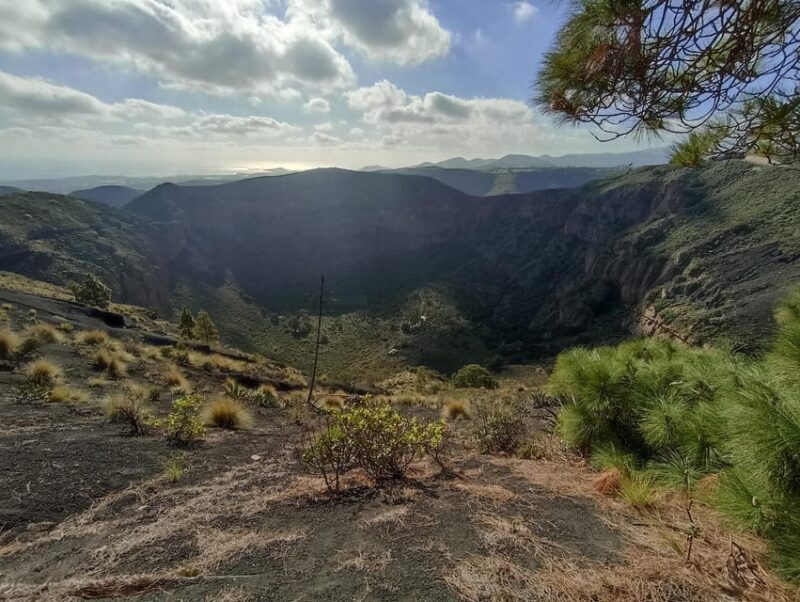 Gran Canaria: Highlights Wine Tasting Tour & shore excursion - An In-Depth Look at the Tour