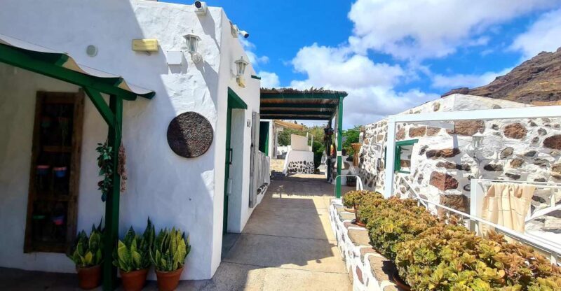 Gran Canaria historical house with mango plantation in Mogan - Why This Tour Is Worth Considering