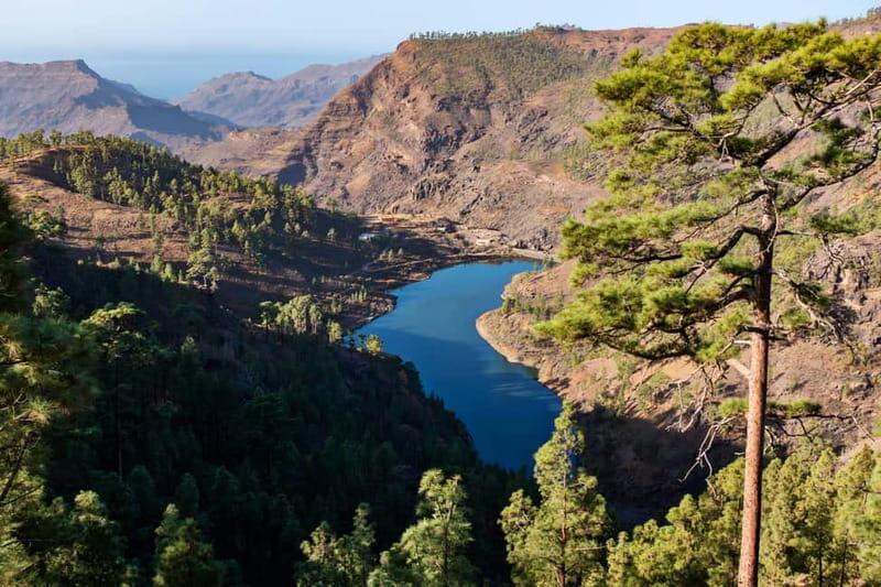 Gran Canaria: Island Highlights Tour with Optional Lunch - A Deep Dive into the Tour Experience