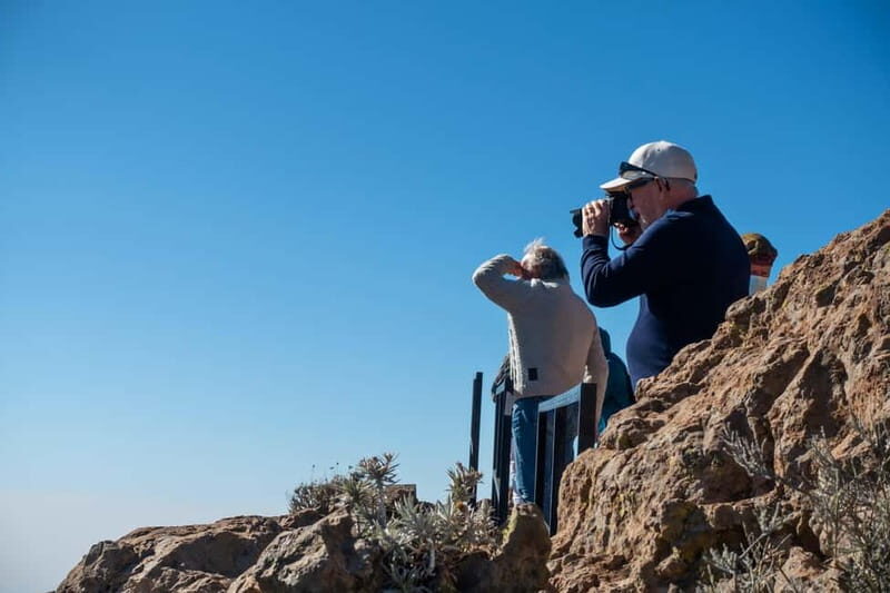 Gran Canaria: Island Highlights Tour with Optional Lunch - Who Should Consider This Tour?