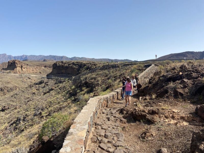 Gran Canaria LET'S GET HIGH!: altitude wines and tapas lunch - Practicalities: What to Know Before Booking