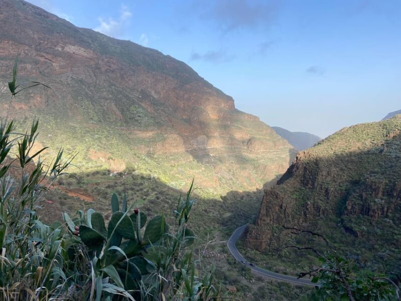 Gran Canaria LET'S GET HIGH!: altitude wines and tapas lunch - Final Thoughts: Who Will Love This Tour?