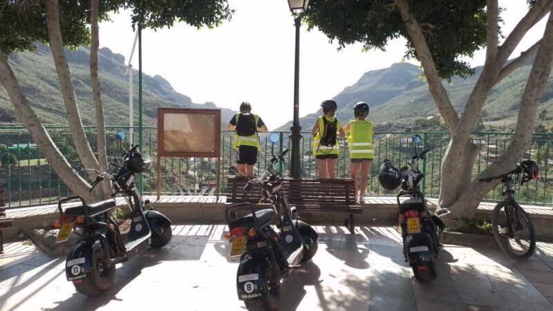 Gran Canaria: Los Pilancones Natural Park e-Scooter Tour - An Authentic Ride Through Gran Canaria’s Wild Side