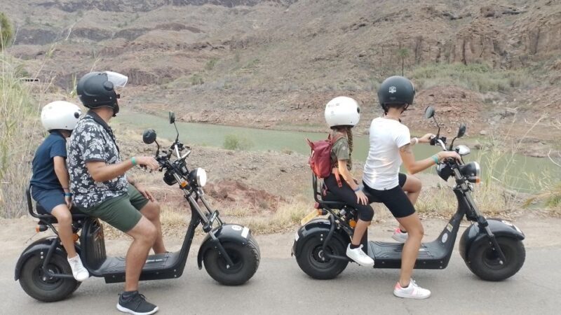 Gran Canaria: Los Pilancones Natural Park e-Scooter Tour - Who Is This Tour Best For?