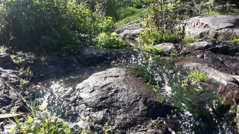 Gran Canaria: "Magic Waterfalls" Hiking Tour - A Deep Dive into the "Magic Waterfalls" Tour