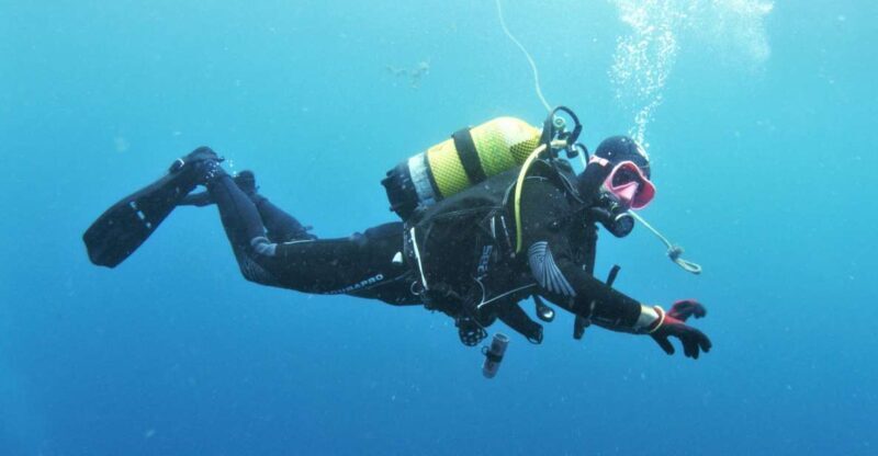 Gran Canaria: Morning Scuba Dive - What to Expect from Your Gran Canaria Morning Scuba Tour