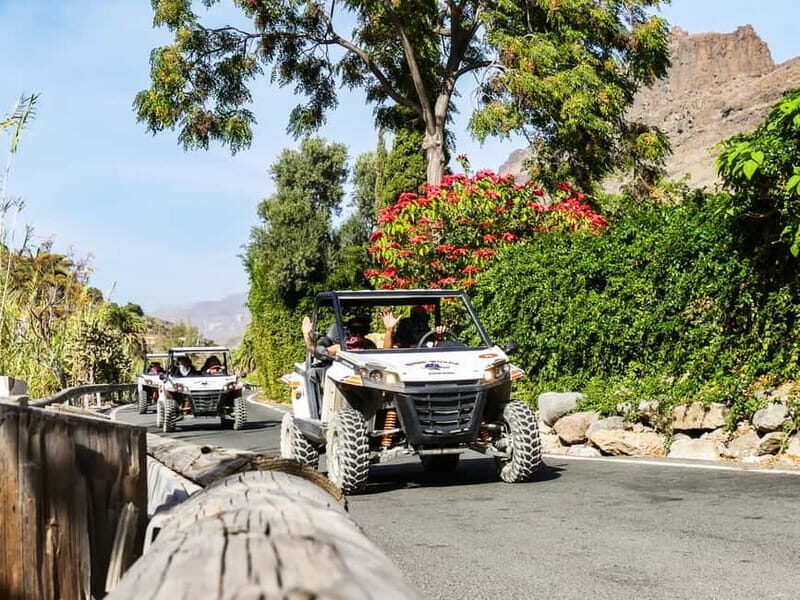 Gran Canaria: Off-Road Buggy Adventure in the Canyons - FAQs