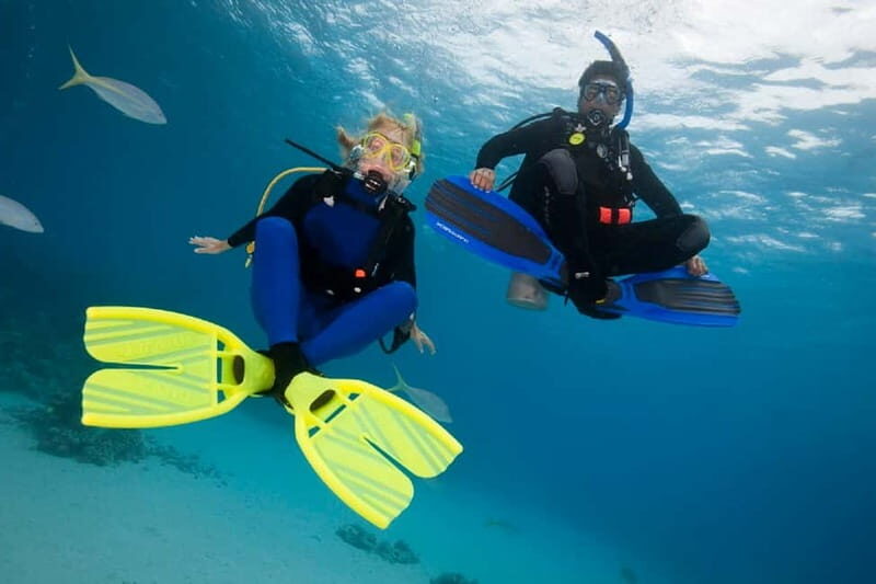Gran Canaria: PADI Open Water Diver Course - Key Points