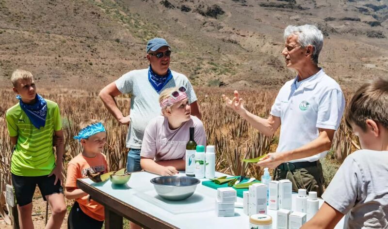 Gran Canaria: Premium Safari 4x4 Tour with Local Guide - Exploring the Itinerary: What You Can Expect