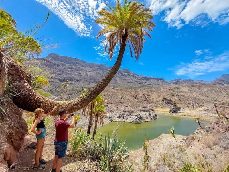 Gran Canaria: Red Gorge, Cave, Oasis Adventure Tour & Picnic - Why This Tour Works