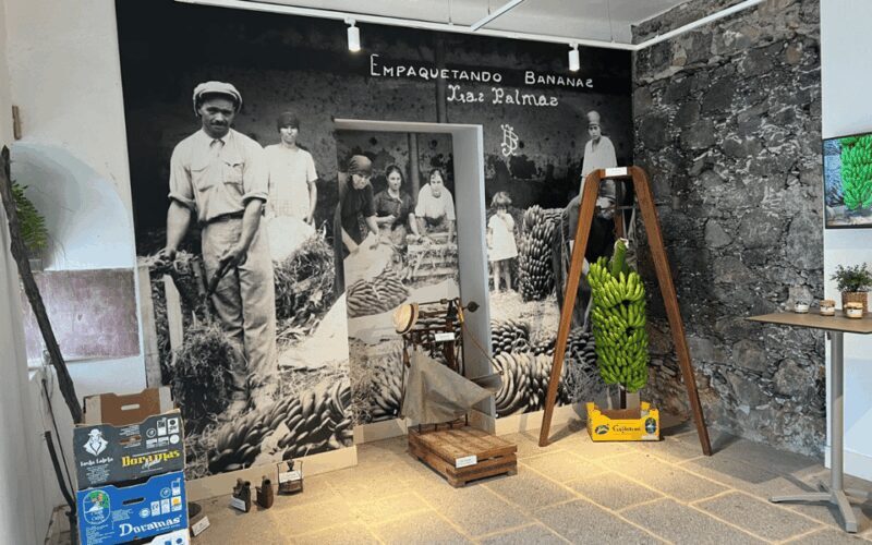 Gran Canaria: Rum, Wines and Banana Tour - FAQ