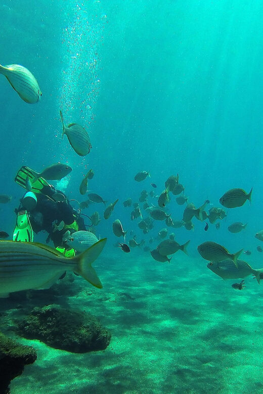 Gran Canaria Scuba Diving: 3-Day 6-Dive Package - Key Points