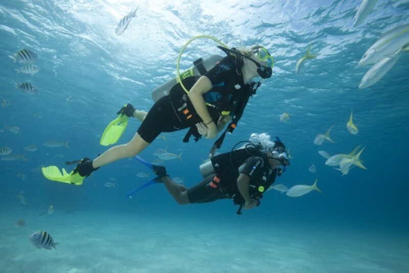 Gran Canaria: Scuba Diving for Beginners - What Makes This Tour Stand Out?