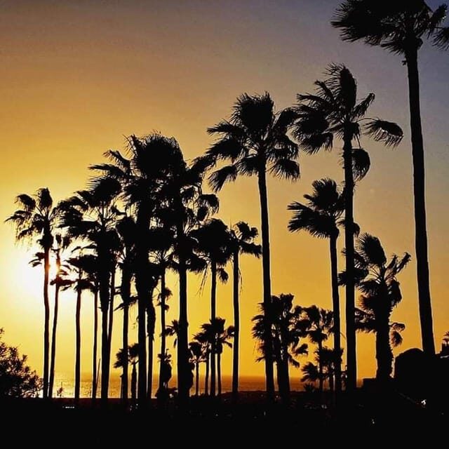 Gran Canaria: Scuba Diving for Beginners - The Review Insights: Authentic Experiences